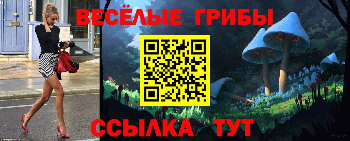 Галлюциногенные грибы GOLDEN TEACHER  магазин    Клин  Вход с VPN 